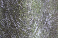 Holy Vale fibreglass roof work